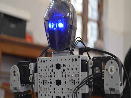 HUMANOID